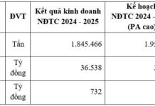 HSG Surpasses Targets: Post-Tax Profit for 2024-2025 Reaches 732 Billion VND, Achieving 146% of Plan