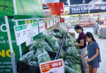 Revitalized Consumer Spending: Who Will Capitalize on the Integrated Ecosystem Advantage?