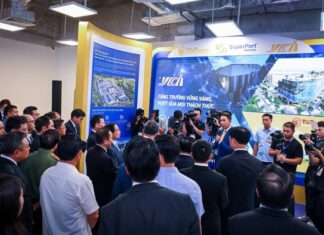 Unlocking the Power of Logistics Connectivity Platforms for Small and Medium Enterprises