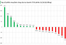 Proprietary Trading Firms Reverse to Net Sell Nearly 200 Billion VND on November 22nd Session: Which Stocks Are the Focus of the Sell-Off?