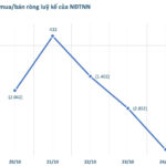 Foreign Blockades Unleash Massive Sell-Off: Net Outflow of VND 4.7 Trillion in Week 20-24/10, Contrasting Billion-Dollar Bluechip Buy-In