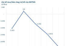 Foreign Blockades Unleash Massive Sell-Off: Net Outflow of VND 4.7 Trillion in Week 20-24/10, Contrasting Billion-Dollar Bluechip Buy-In