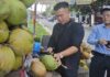 Fresh Coconut Exports: Lessons Learned from Durian and Dragon Fruit Success Stories