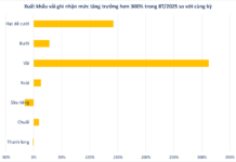Vietnam’s Million-Dollar Treasure Outshines Durian, Captivating China and the U.S.: Exports Surge Over 5,000%, Production Hits 300,000 Tons