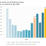 Masan Group Q3 Net Profit Surges to Nearly VND 1.9 Trillion, 1.4x YoY Growth, Driven by Wincommerce and Masan MeatLife