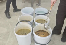 Raid on Five Homes Leads to Bust of $700,000 Counterfeit Cough Syrup Ring, Seizing Over 170,000 Unlicensed Products