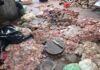 Horrifying Scene: Filthy Animal Fat Piled in Squalid Conditions, Prepared for Market in Nghệ An
