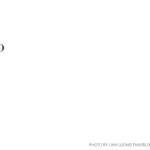 Why Are Stock Investors Hesitant Despite Corporate Profit Reports?