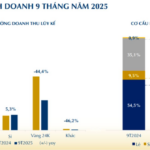 PNJ Profits $4.06 Billion Daily Despite Weak Jewelry Demand Amid Soaring Gold Prices