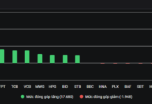 Stock Market Thrills: A Rollercoaster Ride Like No Other