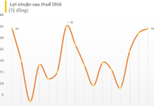 Historic Peak for Quarry Firm’s Stock: Company Reports Double Profit YoY, with Over 30% Assets in Stock Investments