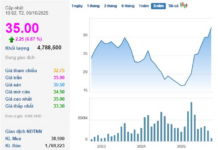 Vingroup’s Affiliated Stock Surges to Ceiling: What’s Driving the Rally?
