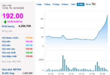 Vingroup Seeks Shareholder Approval to Increase Chartered Capital