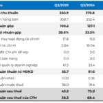 Why Did SGN’s Q3 Profits Plummet by 44%?
