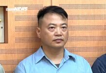 Shark Bình Arrested