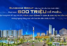 Sunshine Group Post-Restructuring: Second-Highest Market Cap in Real Estate, Full-Year Profit Projected at VND 14,000 Billion, Surpassing Shareholder Meeting Targets