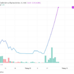 After Selling Can Gio Land to GELEX for Over 600 Billion VND, Vietnam’s Largest Auto Distributor’s Stock Surges 80% Following Nine Consecutive Circuit-Breaker Sessions