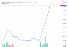 After Selling Can Gio Land to GELEX for Over 600 Billion VND, Vietnam’s Largest Auto Distributor’s Stock Surges 80% Following Nine Consecutive Circuit-Breaker Sessions