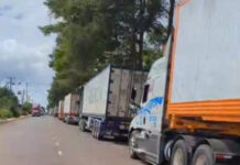 Urgent Proposal to Address Durian Congestion in Dak Lak