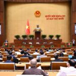 Sustainable Development: Prioritizing the Environment Over Unchecked Economic Growth