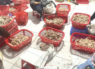 Seized: Over 3.5 Tons of Contaminated Chicken Feet Near Border Region