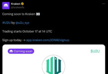 Vietnamese-Developed Layer-1 Blockchain Platform Listed on US Exchange