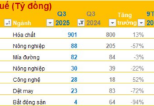 Q3/2025 Financial Report Deadline October 24: Duc Giang Records Pre-Tax Profit of Over 900 Billion VND, Real Estate Company’s Q3 Profit Plummets by 94%
