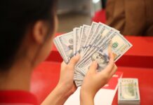 How is the Free USD Rate Faring Post-State Bank’s Proposal for Inter-Ministerial Coordination?