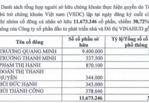 “VHD: From ‘Elephant Engineering’ Through Financial Leverage to the Vortex of Investment and Loss”