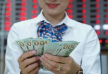 USD Rates Plummet at Major Banks