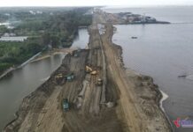 Ho Chi Minh City’s Largest Coastal Urban Area Unveiled: Can Gio Land Prices Skyrocket to Fever Pitch