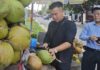 Fresh Coconut Exports: Lessons Learned from Durian and Dragon Fruit Success Stories