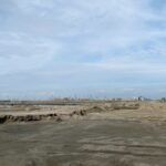 Astonishing Foundation Engineering Techniques Unveiled in Can Gio’s Revolutionary Coastal Megacity