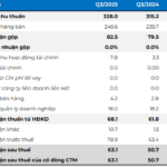 VLB Stone Mining Giant Surpasses 43% Profit Target in 9 Months