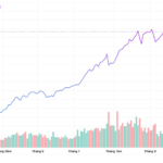 Dragon Capital’s Top 3 Recommendations for Investors Amid Market Turbulence
