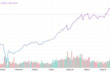 Dragon Capital’s Top 3 Recommendations for Investors Amid Market Turbulence