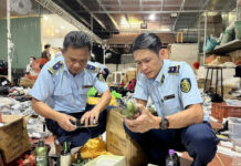 Unveiling the Shocking Truth: Over 15,500 Counterfeit and Smuggled Goods Cases Exposed in Just 9 Months