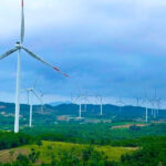 Wind Energy Firms in Quảng Trị Face Bankruptcy Threat