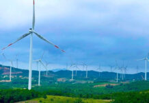 Wind Energy Firms in Quảng Trị Face Bankruptcy Threat