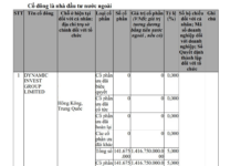 VinEnergo, the $1.2B Energy Giant Backed by Billionaire Pham Nhat Vuong, Welcomes New Shareholder with 5% Stake