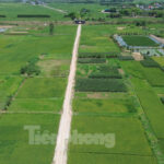 Challenges in Land Clearance: Agricultural Land Prices Expected to Peak at 290,000 VND/m²