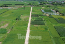 Challenges in Land Clearance: Agricultural Land Prices Expected to Peak at 290,000 VND/m²