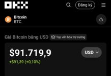 Today’s Crypto Market, November 20: Expert Unveils Surprising Signals for Investors