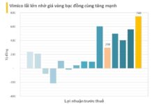 Vietnamese Enterprise Skyrockets to 1.4 Trillion VND Profit in 9 Months, Selling Hundreds of Tons of Gold and Silver Amid Surging Prices and Output