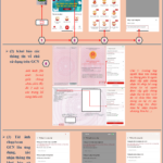 Critical Announcement Regarding Land Use Rights Certificates for All Citizens