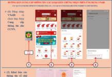 Critical Announcement Regarding Land Use Rights Certificates for All Citizens