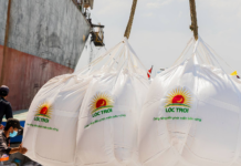 Heaven’s Fortune Cycles Internally to Sustain Operations