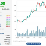 Historic Peak for VIC: Billionaire Pham Nhat Vuong and Spouse’s Wealth Surges by $720 Million, While Nguyen Thi Phuong Thao’s VJC Hits Ceiling in Resilient Rally