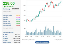 Historic Peak for VIC: Billionaire Pham Nhat Vuong and Spouse’s Wealth Surges by $720 Million, While Nguyen Thi Phuong Thao’s VJC Hits Ceiling in Resilient Rally