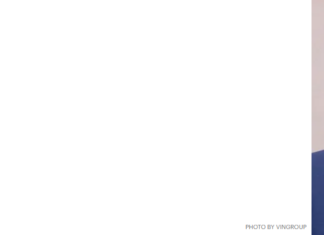 Pham Nhat Vuong Closes in on the Top 100 World Billionaires List